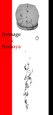 �����ʎq�W�wfromage�~fromaya�x