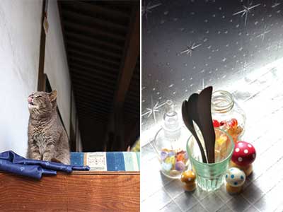 �w���}�Ӂ@�ʁx